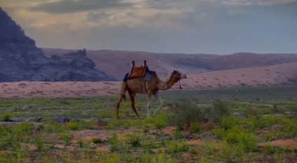 مشاهد مذهلة لجمال تضاريس جبة في حائل