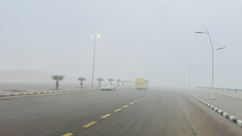 الضباب