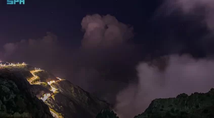 موجة ضباب على منطقة الباحة حتى الصباح 