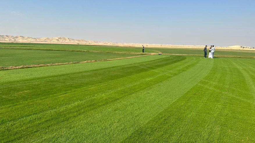 ميسي في الافتتاح.. إعلان موعد تدشين ملعب الهلال الجديد المملكة أرينا