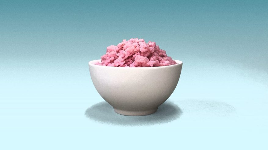 أرز هجين من خلايا البقر ابتكار جديد أرخص للبشرية