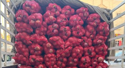 مصادرة 1600 كجم من البصل في تبوك