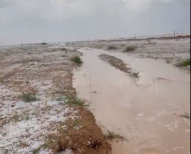 بالفيديو.. بردية كثيفة على الدليمية في القصيم