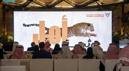 إطلاق برنامج النمر العربي للابتعاث ويضم 50 بعثة دراسية