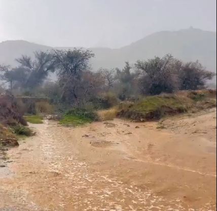 أمطار وسيول في بني مالك جنوب شرق الطائف