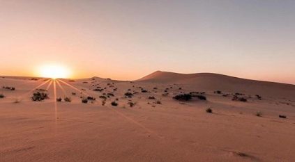 صحراء النفود تعود لما كانت عليه قبل 40 سنة