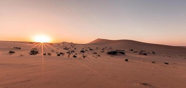 صحراء النفود تعود لما كانت عليه قبل 40 سنة