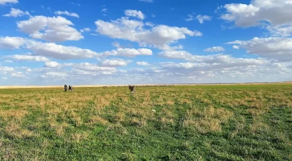 صور توثق جمال فياض محطا غرب رفحاء