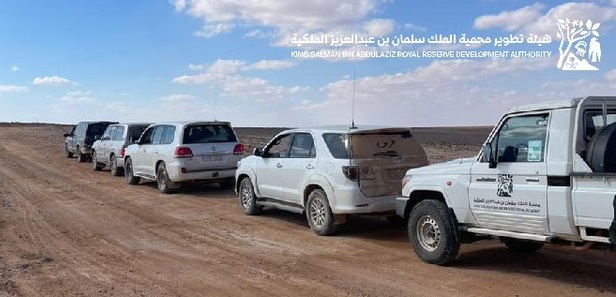 محمية الملك سلمان تضبط 56 مخالفاً و18 مركبة