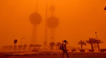 الطيور تتساقط من السماء في المدن الأكثر سخونة بالعالم