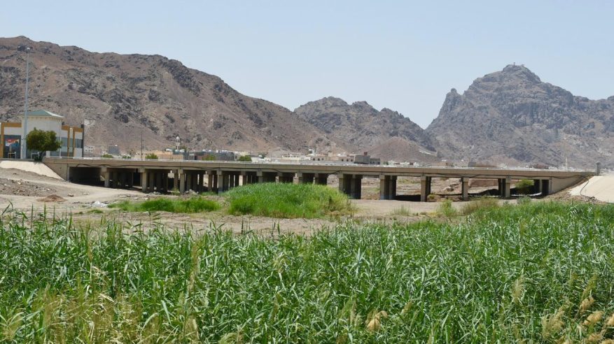 مرتبط بمعركة أحد.. وادي قناة أحد أشهر أودية المدينة المنورة