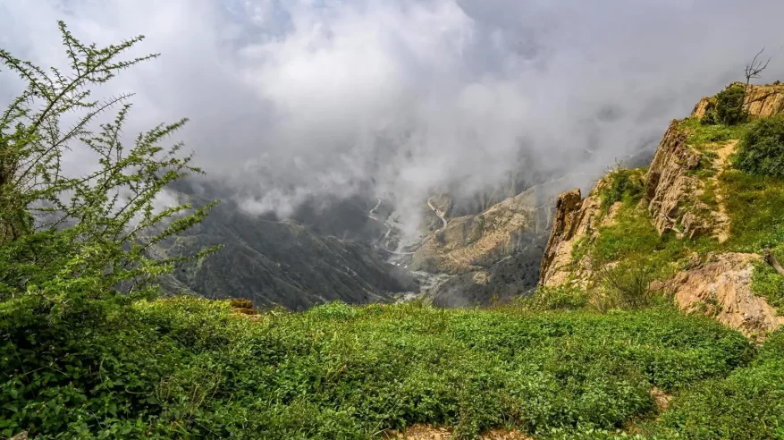 محاصيل زراعية متنوعة تنتجها مزارع الباحة وترفدها لأسواق مناطق السعودية