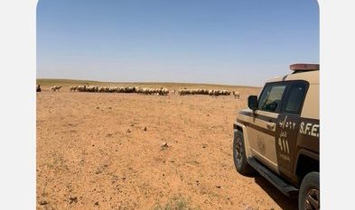 ضبط مخالفَين لنظام البيئة لاستغلالهما الرواسب في تبوك