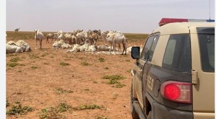 ضبط مخالفين بمحمية الملك عبدالعزيز الملكية و10 آلاف ريال غرامات