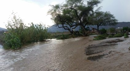 عسير تسجل أعلى معدلات الأمطار بـ32 ملم