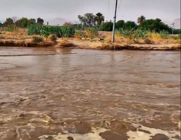 لقطات مذهلة لجريان سيول وادي نجران