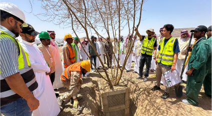 الغطاء النباتي ينقل 8 أشجار معمرة إلى متنزه البيضاء بالمدينة المنورة