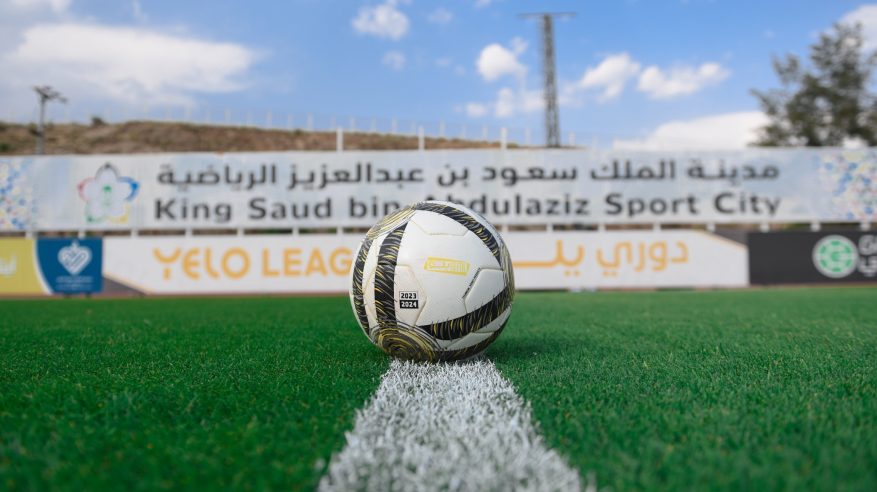 أسماء 7 حراس أجانب مرشحين لمغادرة دوري يلو