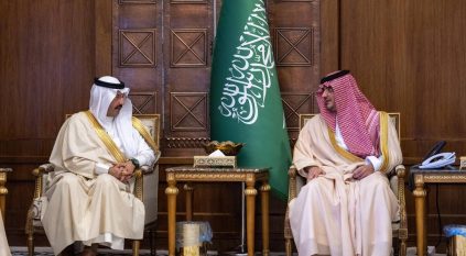 وزير الداخلية يلتقي أمير عسير وينوه بجهود القطاعات الأمنية