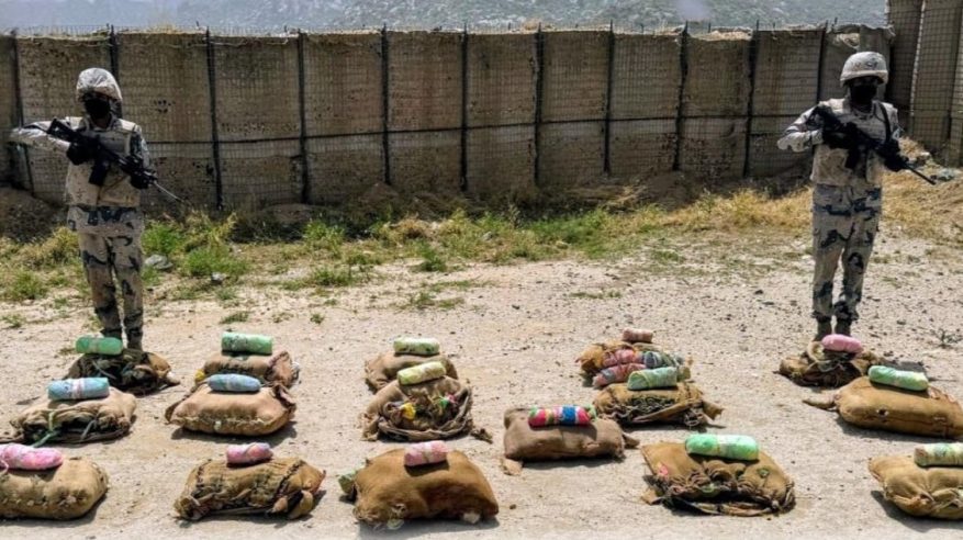 إحباط تهريب 115 كجم قات وحشيش وشبو مخدر في 3 مناطق