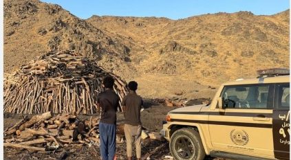 ضبط مخالفين لقطعهما الأشجار وتخزين الحطب المحلي بمكة