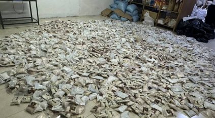 الأردن يحبط تهريب 9.5 مليون حبة مخدرة و143 كجم حشيش قبل وصولها لدولة مجاورة