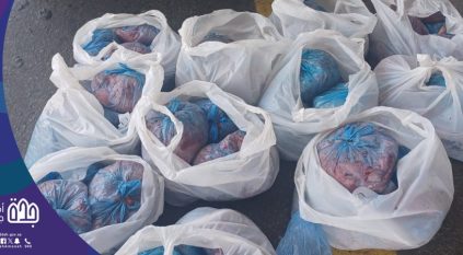 أمانة جدة تحبط تهريب 1243 ذبيحة فاسدة من لحوم الأضاحي