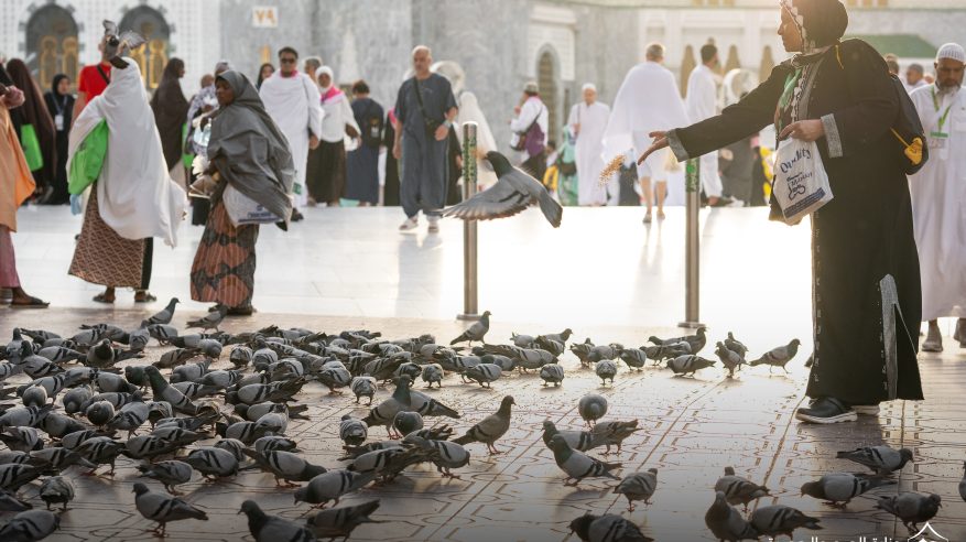صورة وتعليق.. حمام الحرم يُضفي على المكان ألفة وطمأنينة بين ضيوف الرحمن