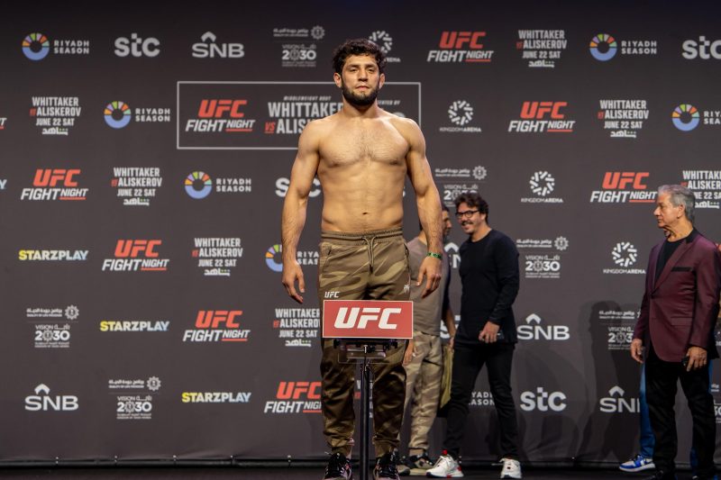 بطولة UFC - الملاكمة