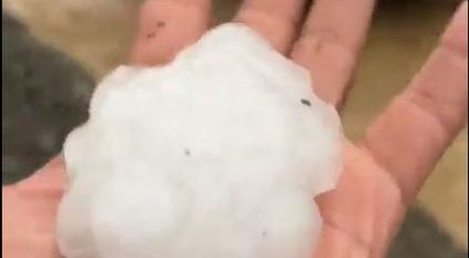 شاهد.. تساقط البرد بأحجام كبيرة في رجال ألمع