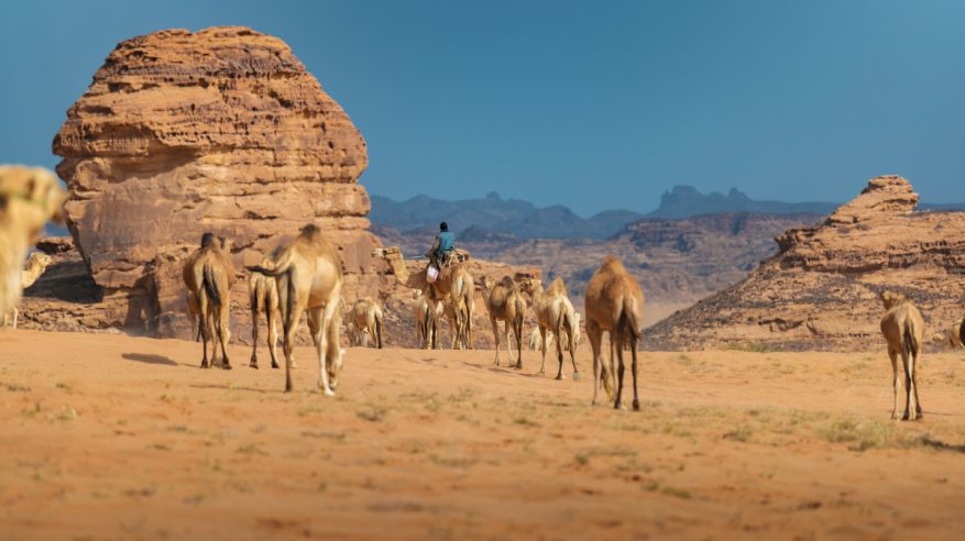 الصين تعتمد السعودية كوجهة سياحية رسمية للسياح الصينيين