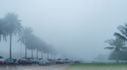 شبورة مائية وتدني الرؤية على ينبع والرايس غدًا