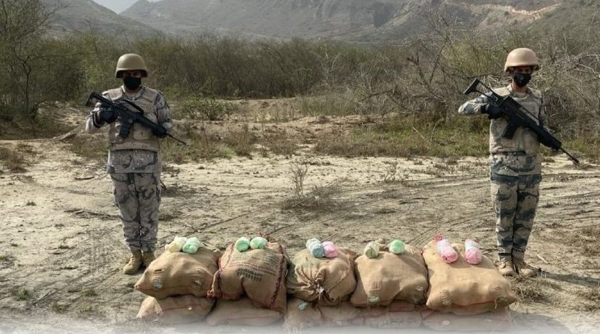 إحباط تهريب 276 كجم من القات المخدر بجازان