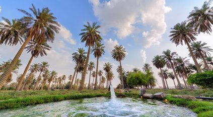 ارتفاع الحرارة والرطوبة بالتزامن مع موسم طباخ اللون