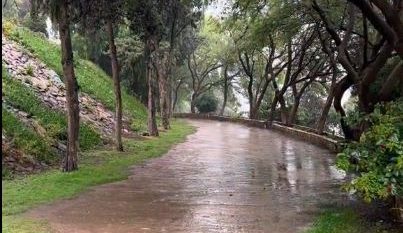 أمطار ورياح نشطة وصواعق على عسير 