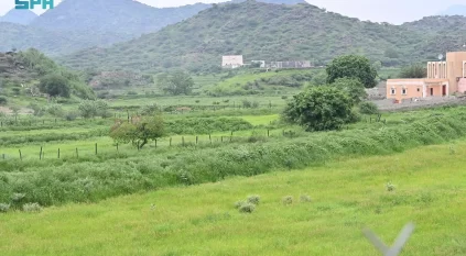 “الفاو” تُشيد بإعلان السعودية إعادة تأهيل مليون هكتار من الأراضي