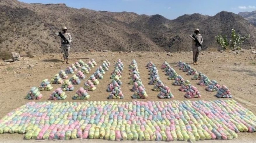عملية نوعية تحبط تهريب أكثر من نصف طن قات مخدر بعسير