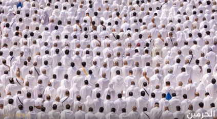 تسيير 200 رحلة ترددية يوميًا لضيوف برنامج خادم الحرمين إلى المسجد الحرام على مدار الساعة