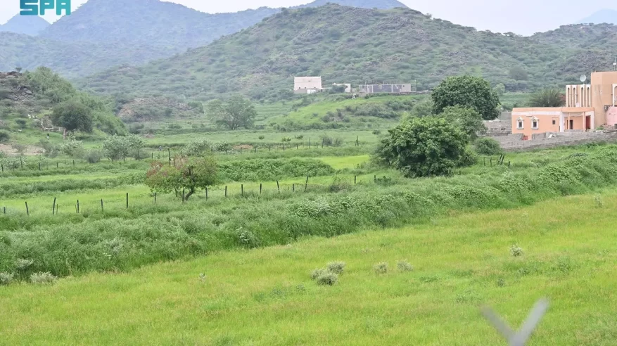 “الفاو” تُشيد بإعلان السعودية إعادة تأهيل مليون هكتار من الأراضي