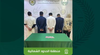 القبض على 5 أشخاص روجوا الحشيش في الشمالية