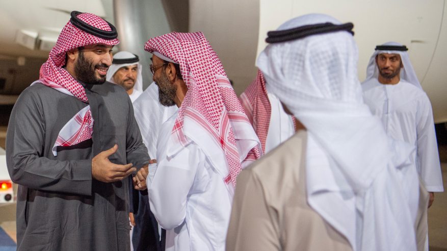 لقطات من استقبال محمد بن زايد لولي العهد في الإمارات