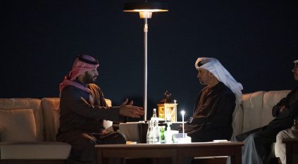 لقطات توثق لقاء ولي العهد ومحمد بن زايد في العين