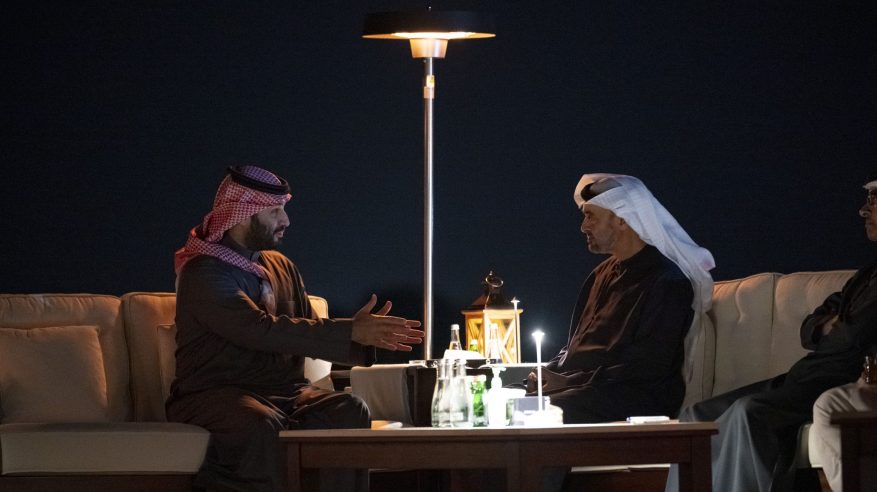 لقطات توثق لقاء ولي العهد ومحمد بن زايد في العين