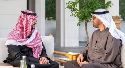 بتوجيه الملك سلمان وولي العهد.. وزير الدفاع يلتقي رئيس الإمارات