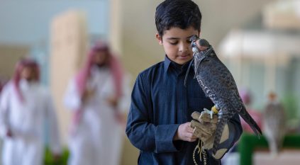 269 صقرًا للهواة المحليين يتنافسون في اليوم الـ6 لمهرجان الصقور