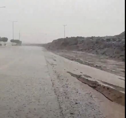 بالفيديو.. أمطار غزيرة وسيول في البرك بعسير