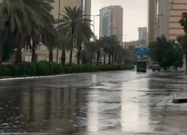 توقعات الطقس اليوم: أمطار رعدية وضباب على عدة مناطق