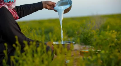 حليب الإبل في رمضان إرث الأجداد وخيار الصائمين المثالي