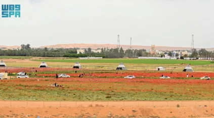 محمية الديدحان تستقطب آلاف الزوار والسياح في حائل