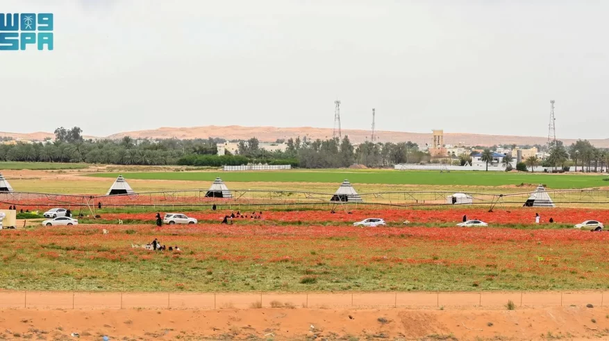 محمية الديدحان تستقطب آلاف الزوار والسياح في حائل